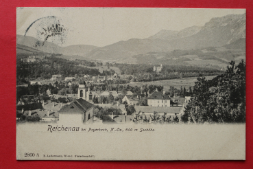 AK Reichenau bei Payerbach / 1906 / Strassen / Neiderösterreich